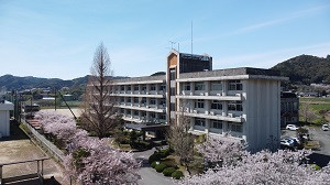 DJI_0547